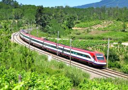 Portugal Trains : How Trains Its VIP Handlers